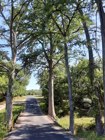 Comfort, Texas